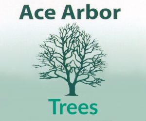 ace arbor trees logo