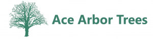 ace arbor logo with text