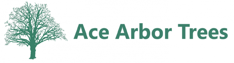 cropped-ace-new-logo-long.png | Ace Arbor Trees