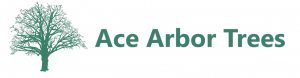 ace arbor trees logo text